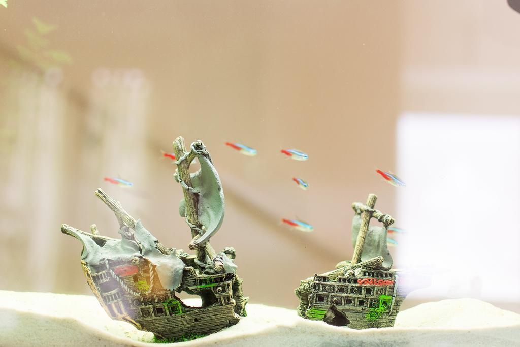 Il Giglio Verde Porto SantʼElpidio エクステリア 写真